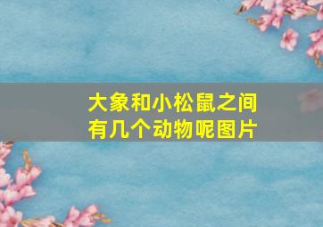 大象和小松鼠之间有几个动物呢图片