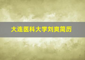 大连医科大学刘爽简历