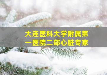 大连医科大学附属第一医院二部心脏专家