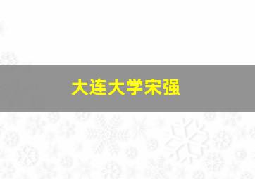 大连大学宋强