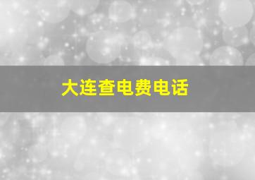 大连查电费电话