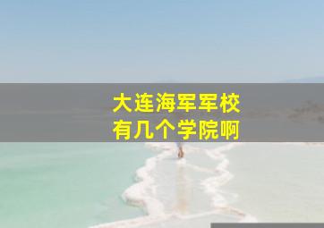 大连海军军校有几个学院啊