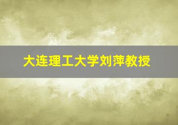 大连理工大学刘萍教授