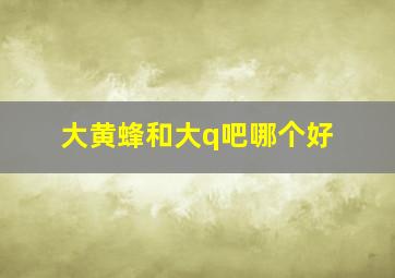 大黄蜂和大q吧哪个好