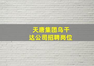 天唐集团乌干达公司招聘岗位