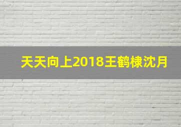 天天向上2018王鹤棣沈月