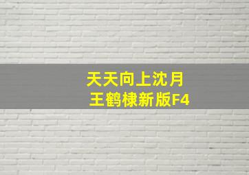 天天向上沈月王鹤棣新版F4