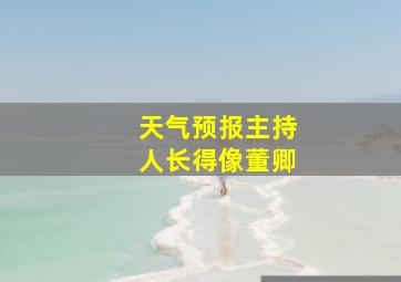 天气预报主持人长得像董卿