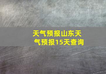 天气预报山东天气预报15天查询