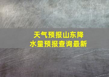 天气预报山东降水量预报查询最新