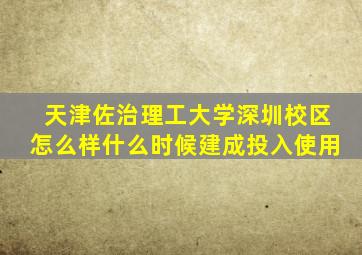 天津佐治理工大学深圳校区怎么样什么时候建成投入使用