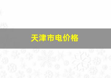 天津市电价格