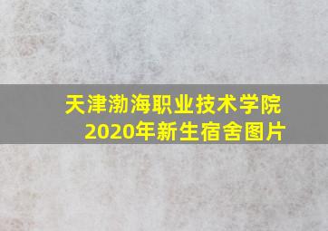 天津渤海职业技术学院2020年新生宿舍图片