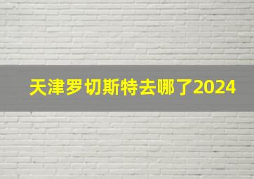 天津罗切斯特去哪了2024