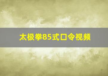 太极拳85式口令视频