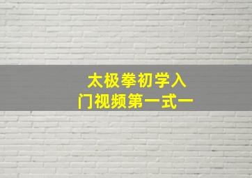 太极拳初学入门视频第一式一