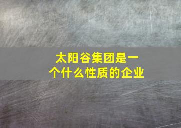 太阳谷集团是一个什么性质的企业