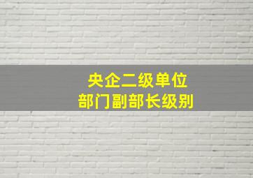 央企二级单位部门副部长级别