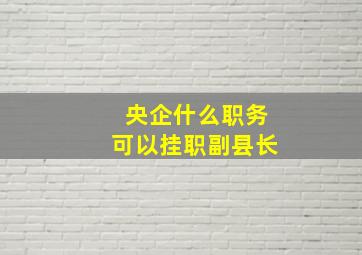 央企什么职务可以挂职副县长