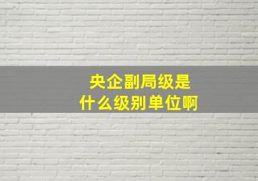 央企副局级是什么级别单位啊