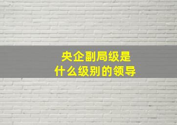 央企副局级是什么级别的领导