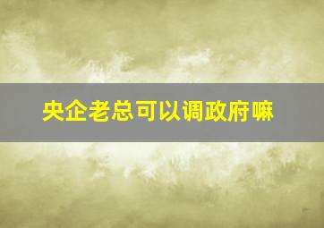 央企老总可以调政府嘛