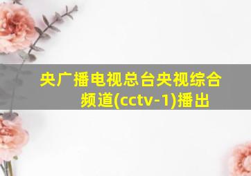 央广播电视总台央视综合频道(cctv-1)播出