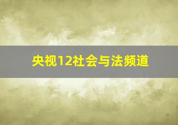 央视12社会与法频道