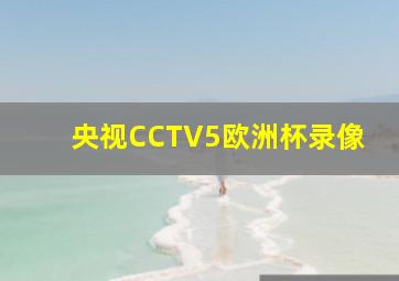 央视CCTV5欧洲杯录像