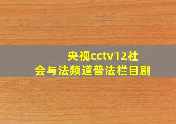 央视cctv12社会与法频道普法栏目剧