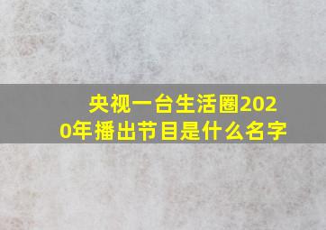 央视一台生活圈2020年播出节目是什么名字