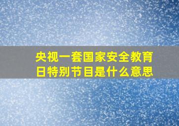 央视一套国家安全教育日特别节目是什么意思