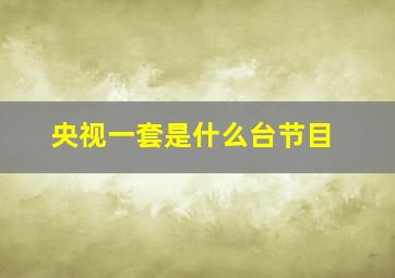 央视一套是什么台节目