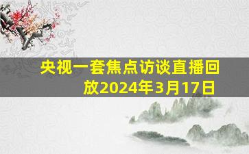 央视一套焦点访谈直播回放2024年3月17日