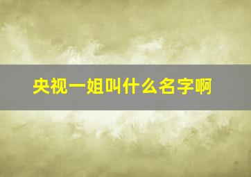 央视一姐叫什么名字啊