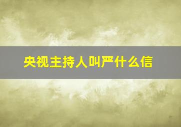 央视主持人叫严什么信