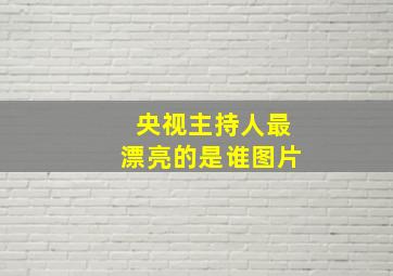 央视主持人最漂亮的是谁图片