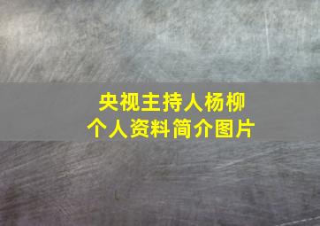 央视主持人杨柳个人资料简介图片