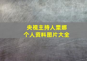 央视主持人栗娜个人资料图片大全