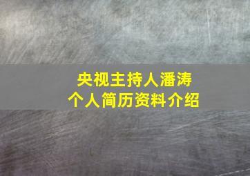 央视主持人潘涛个人简历资料介绍