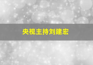 央视主持刘建宏