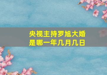 央视主持罗旭大婚是哪一年几月几日