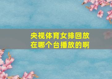 央视体育女排回放在哪个台播放的啊