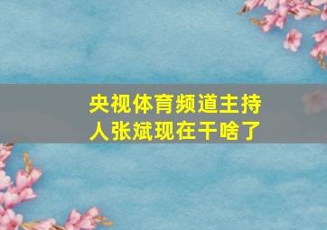 央视体育频道主持人张斌现在干啥了