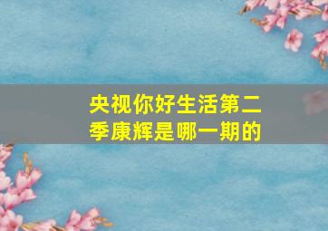 央视你好生活第二季康辉是哪一期的