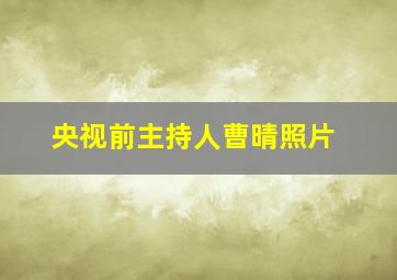 央视前主持人曹晴照片