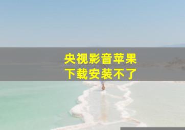 央视影音苹果下载安装不了