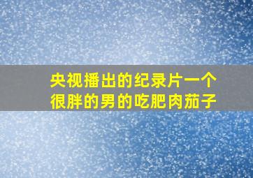 央视播出的纪录片一个很胖的男的吃肥肉茄子