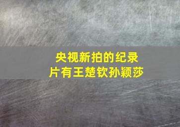 央视新拍的纪录片有王楚钦孙颖莎