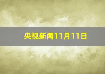 央视新闻11月11日